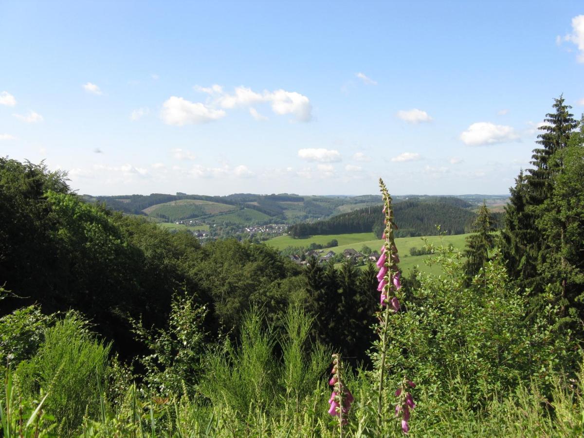 Urlaub Im Naturgarten Lägenhet Bergneustadt Exteriör bild