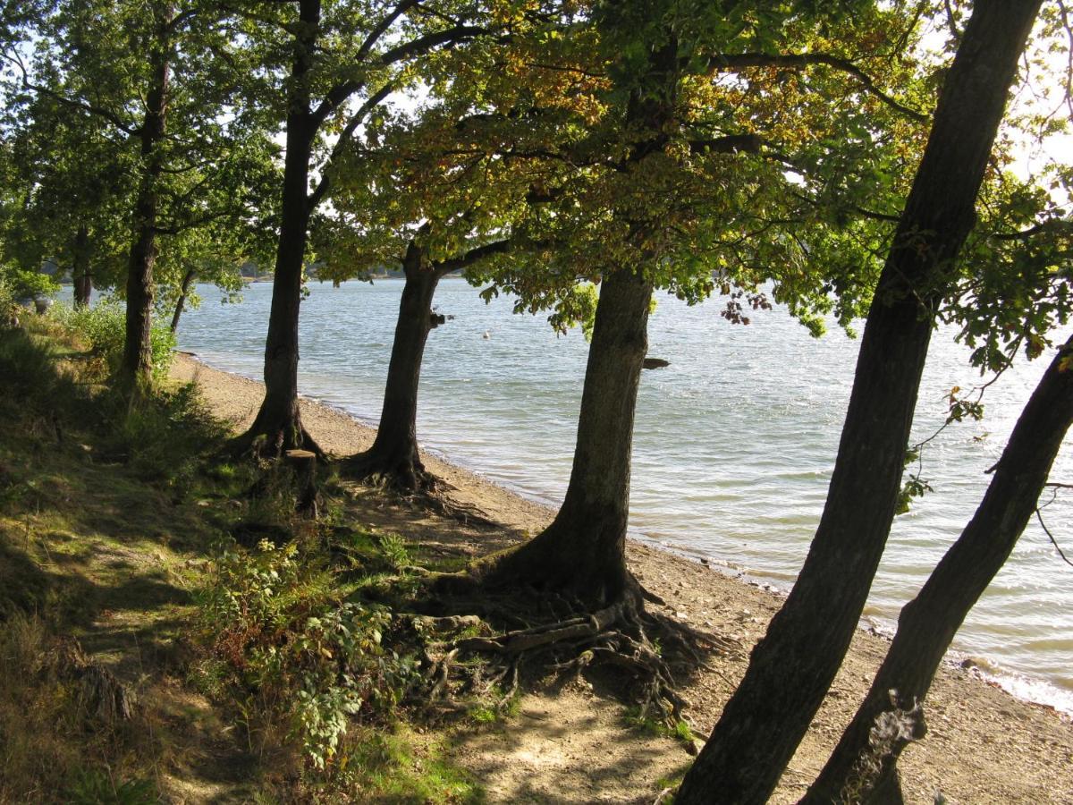 Urlaub Im Naturgarten Lägenhet Bergneustadt Exteriör bild